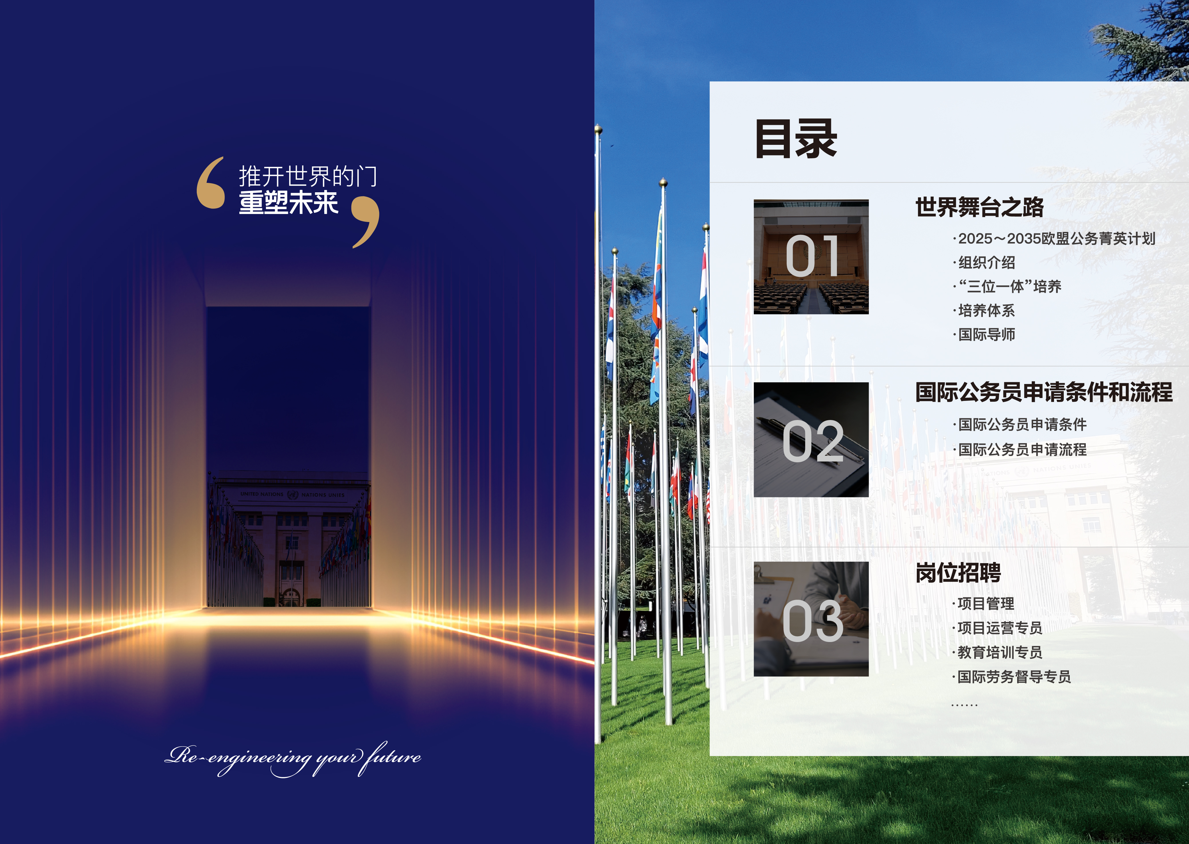 20251122国际公务员手册_画板 1 副本.jpg